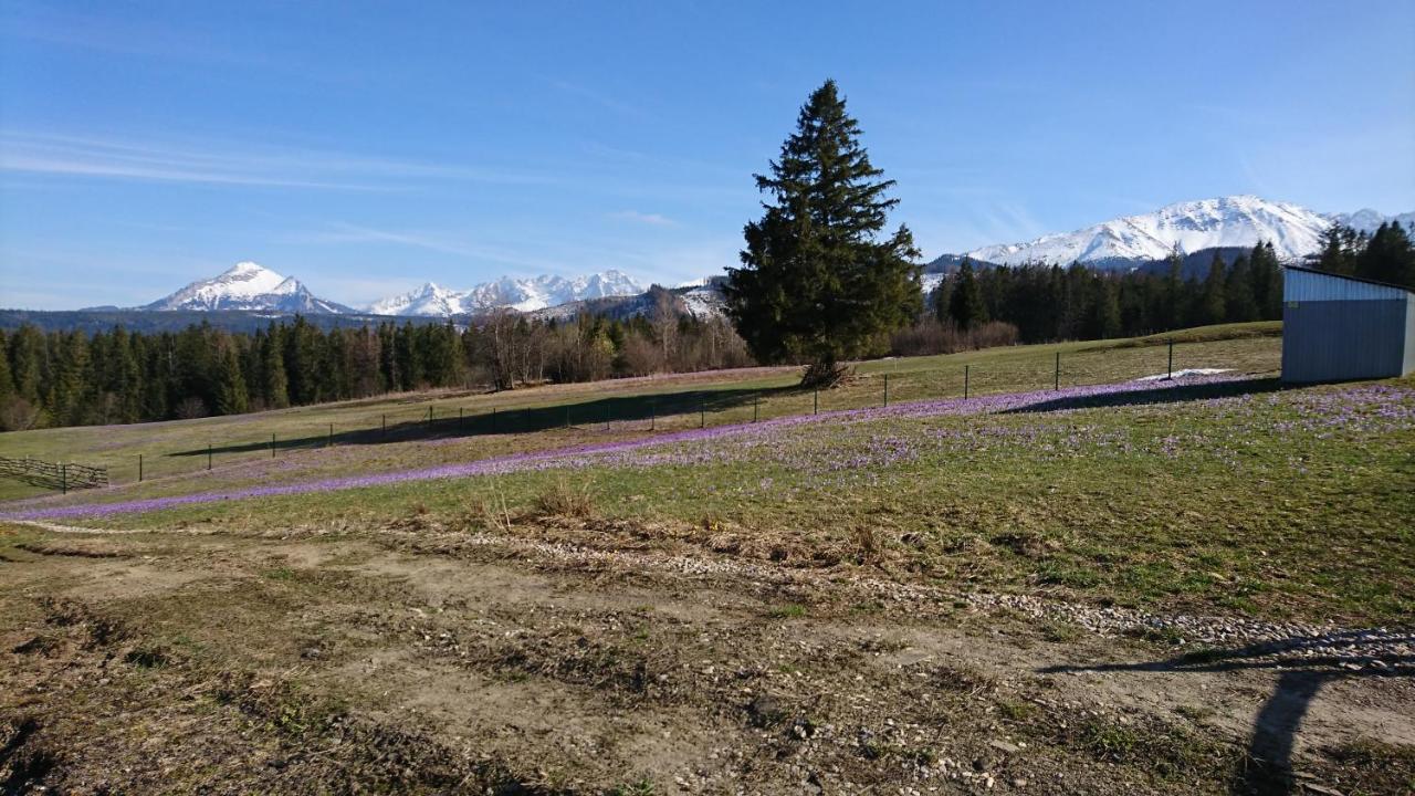 Domki Skupniowy Uplaz Murzasichle Exterior foto